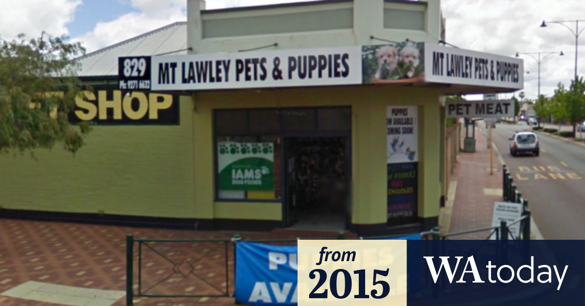 Inglewood pet store embroiled in more puppy farm allegations